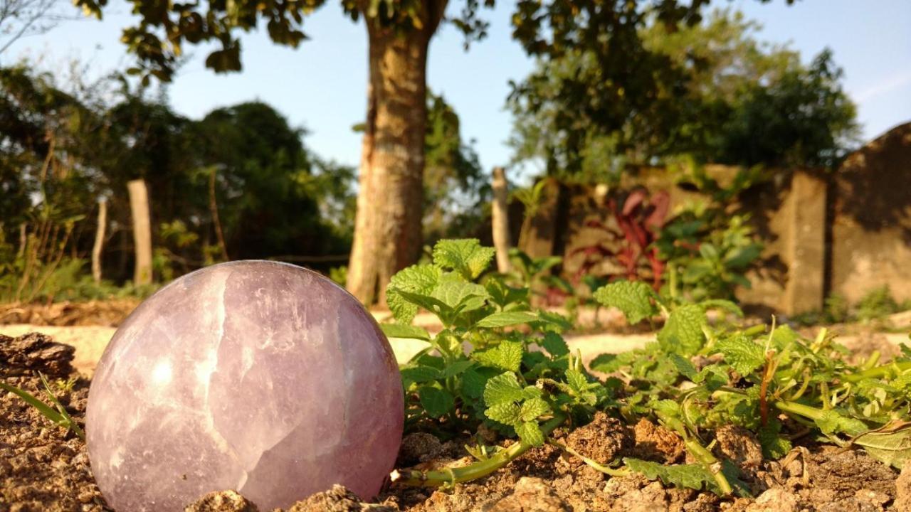 ヴァソウラス Fazenda Da Luzヴィラ エクステリア 写真